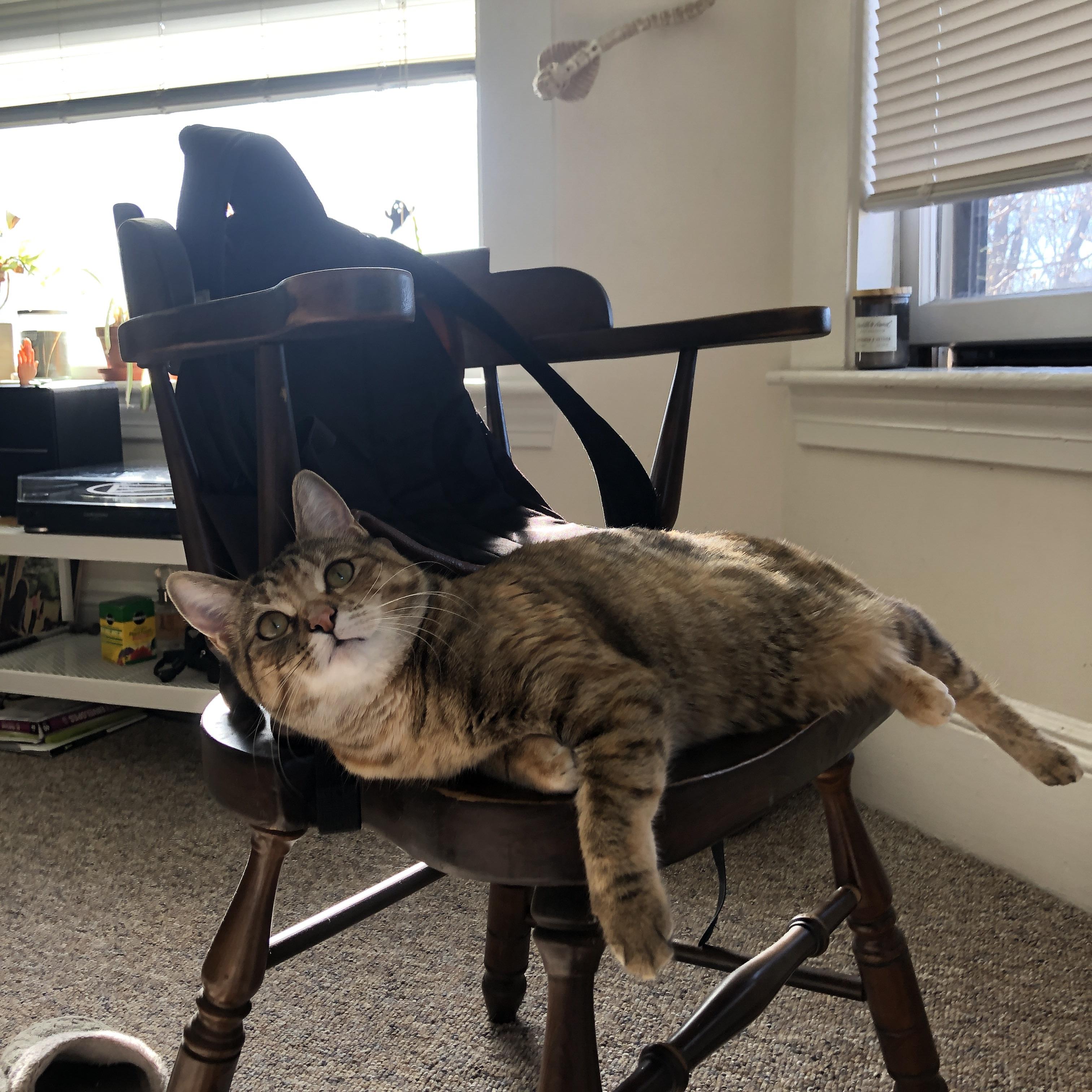 独行侠横扫步行者，小贾伦带动的节奏革命