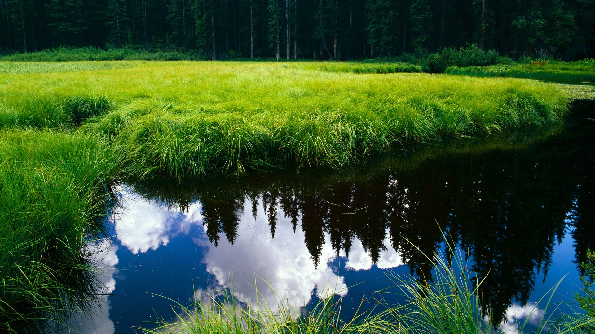 隐形锁链,贝恩如何用无声的防守为勇士戴上荆棘王冠