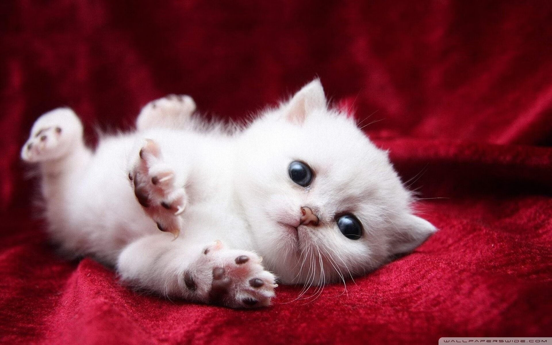 爱游戏体育-绝杀！马丁内利冠军级表现助希腊险胜澳大利亚