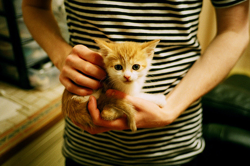 双线战场,卡瓦哈尔的沉稳与拉齐奥的生死逆袭