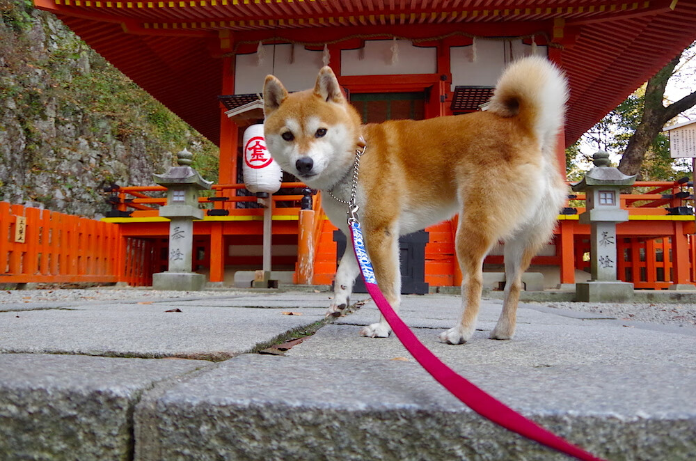 终场哨响前的雨夜神迹，李刚仁的魔法时刻