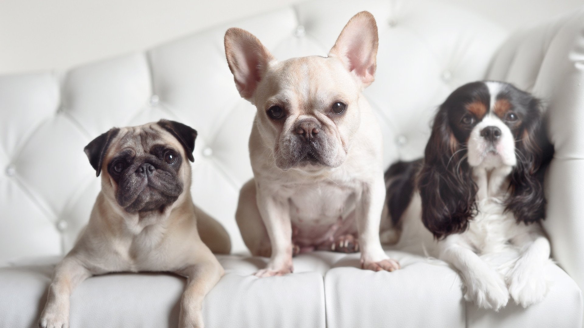 凌晨四点半的圣保罗