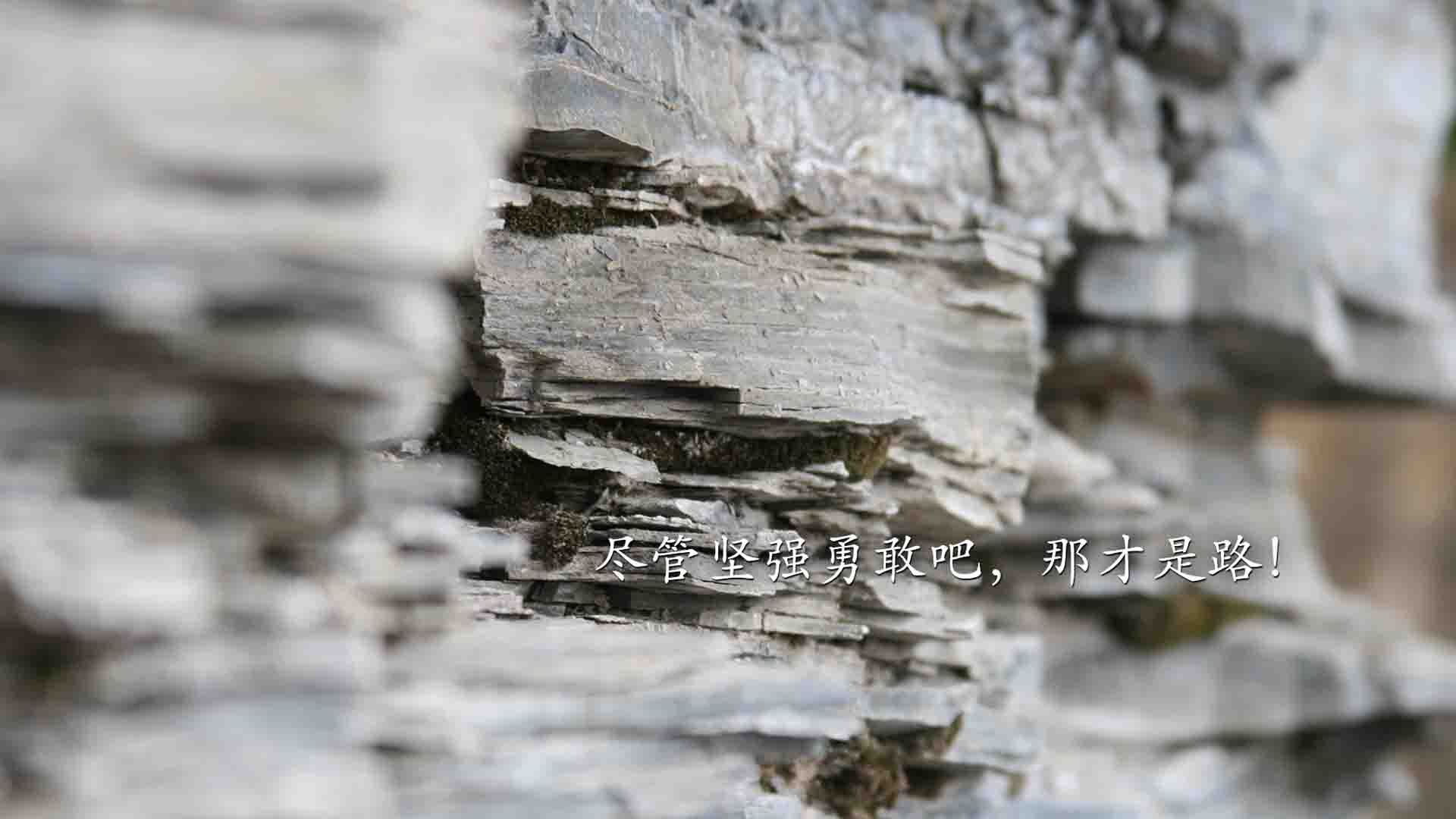 东方铁幕与西方魔法，当防守绞杀遭遇进攻魅影