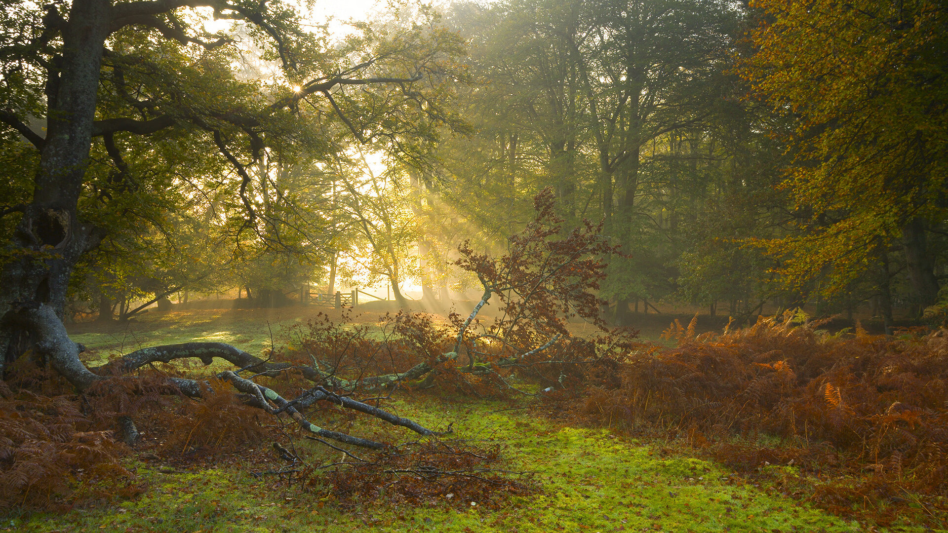 白色火焰,当塞维利亚的月光被布雷默铸成刺穿马竞心脏的匕首