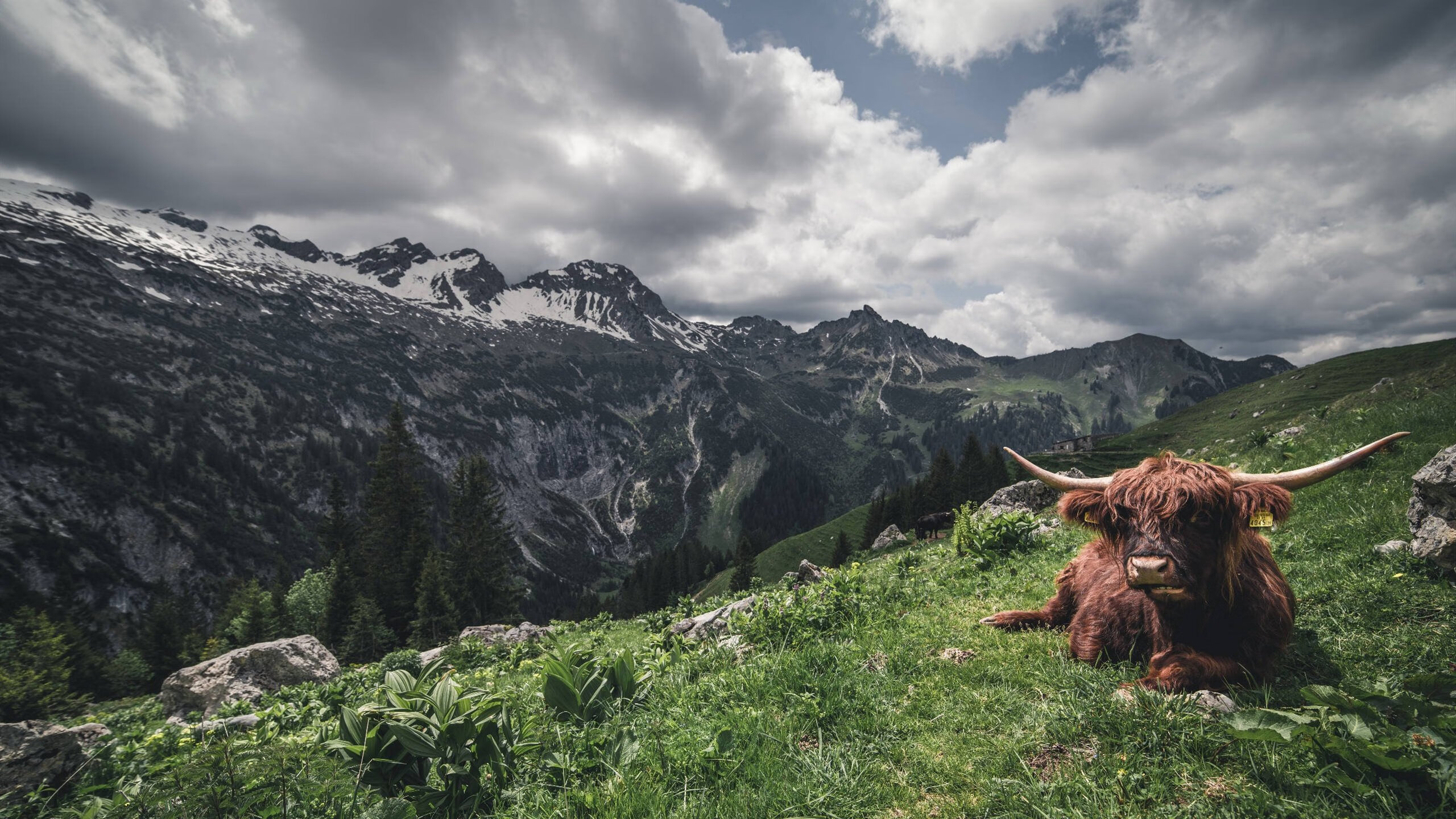 爱游戏-金玟哉统治全场，佛罗伦萨踏平葡萄牙，欧战舞台的霸权宣言