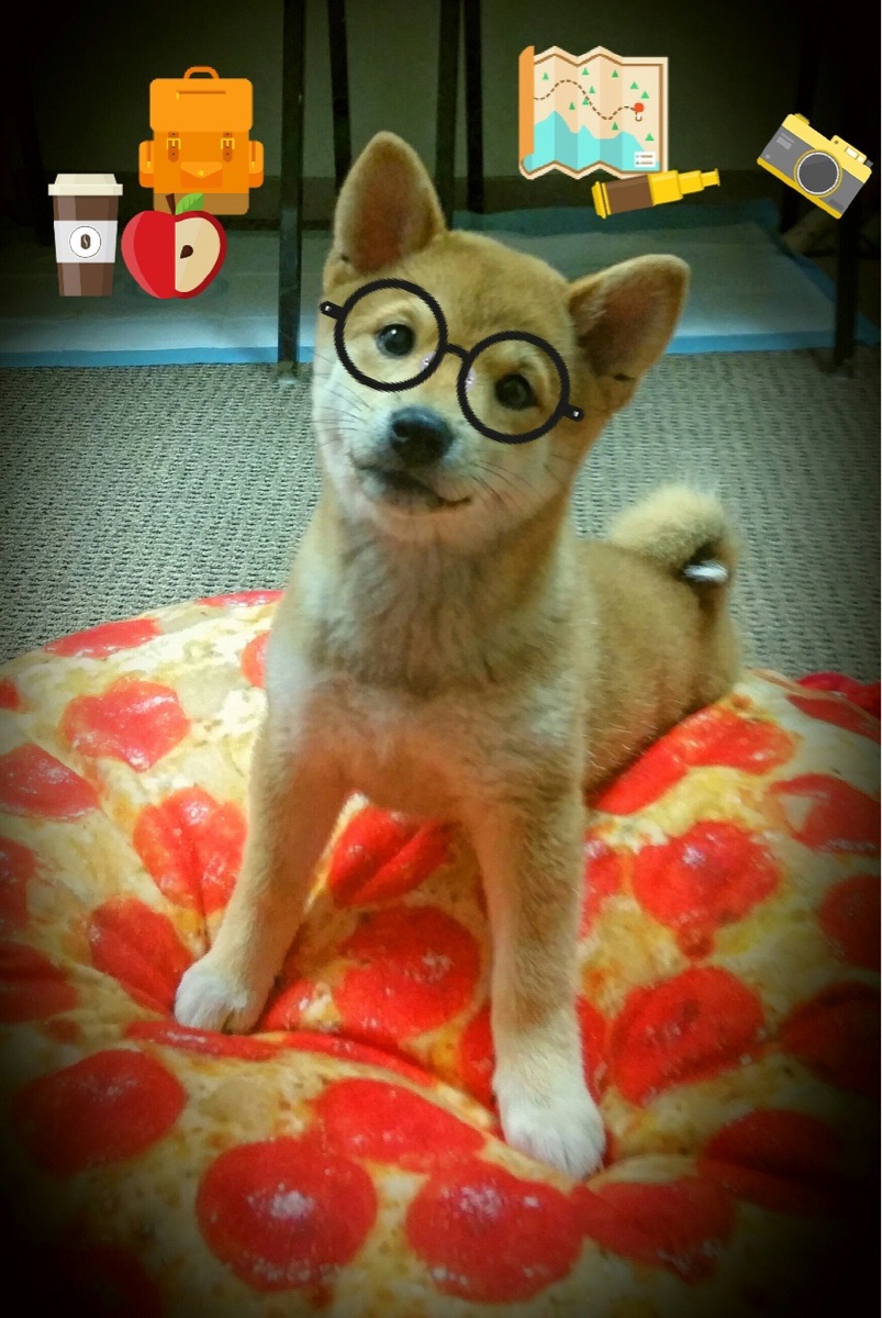 封神之战，哈利伯顿如何让NBA季后赛评分系统爆表？