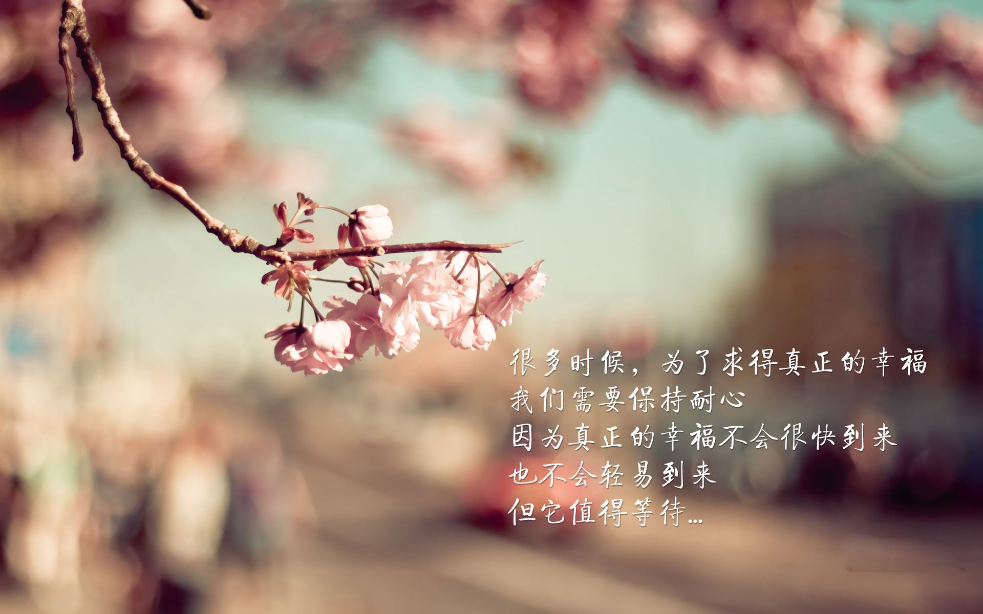 宿命之战，2026世界杯八分之一决赛，智利以铁血防守掀翻巴西，阿诺德一己之力闪耀全场