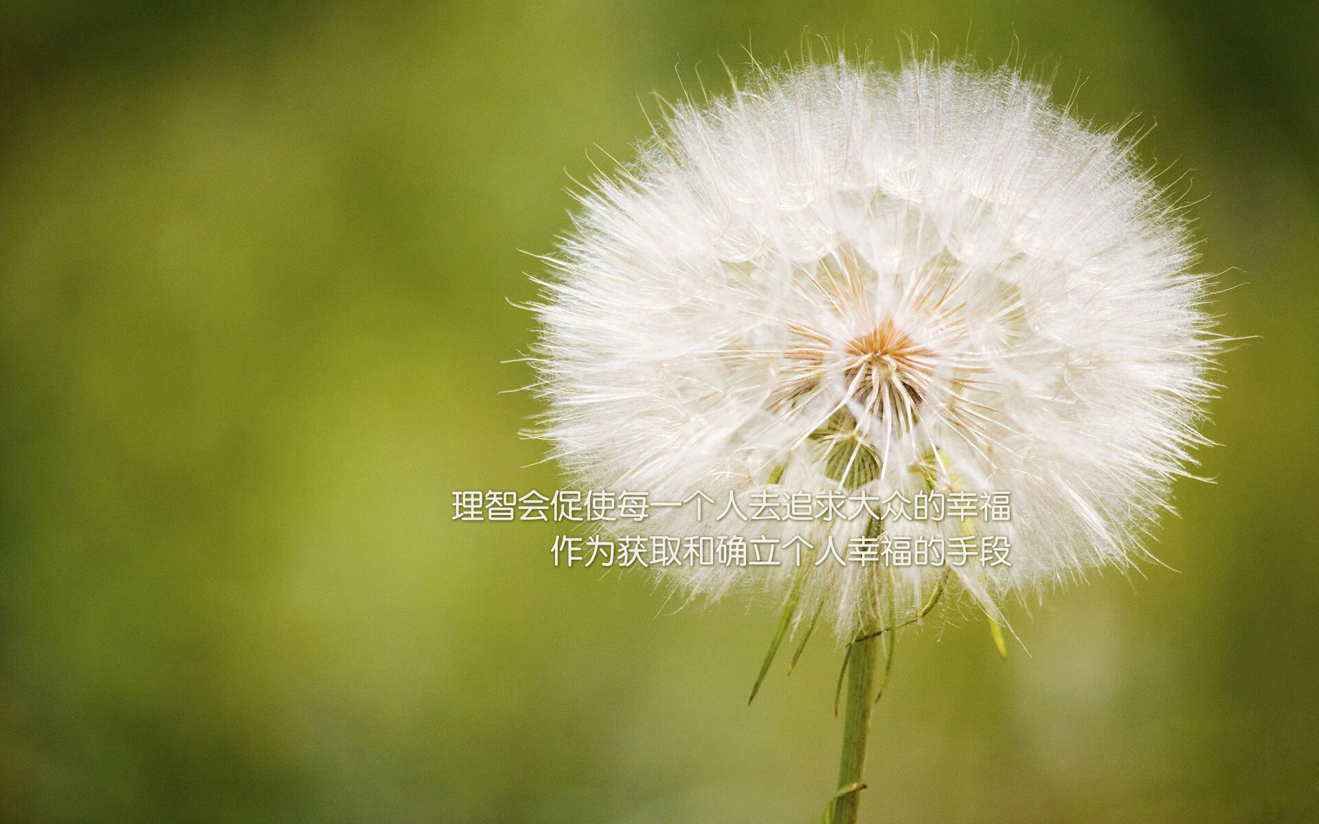 爱游戏在线-唯一之刃，穆西亚拉在2026世界杯C组匈牙利对决日本中的决定性时刻