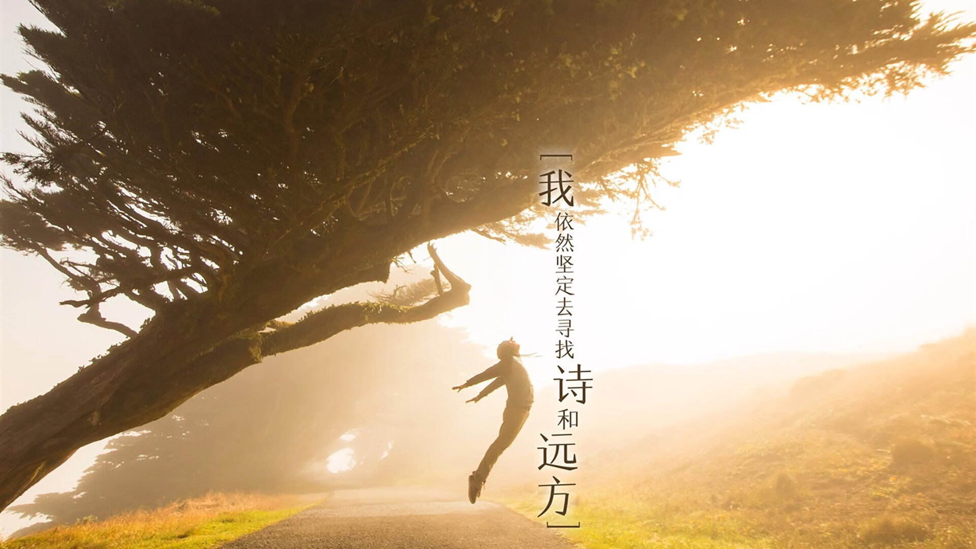 爱游戏在线-致命一击，铸就永恒—美加墨世界杯焦点战，凯恩绝杀芬兰险胜哥伦比亚